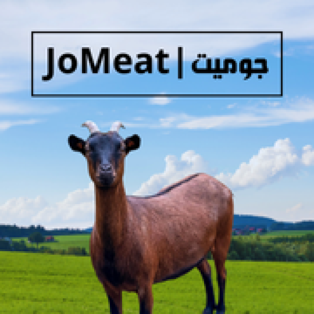 عقيقة خاروف بلدي جدي