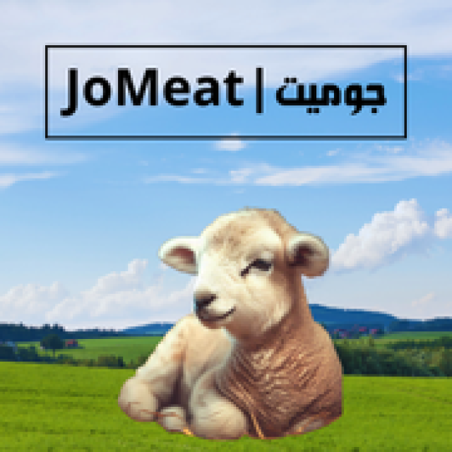 خاروف روماني حي – وزن تقريبي 45–55 كغم